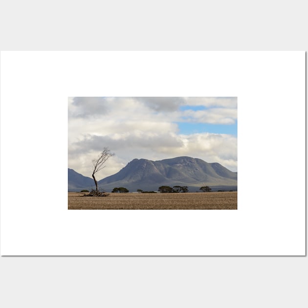 Bluff Knoll Wall Art by fotoWerner